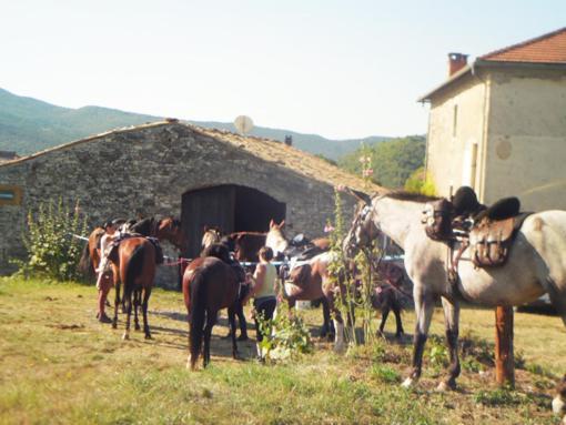 מלון Montjay  Le Relais Des Baronnies מראה חיצוני תמונה